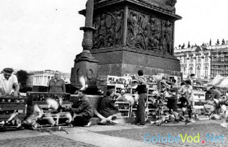 Соревнования в Павловке