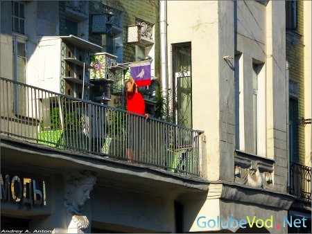 Голубятни на балконах разного типа.