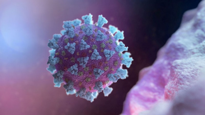 Число выздоровевших после заражения коронавирусом превысило 28 тысяч человек