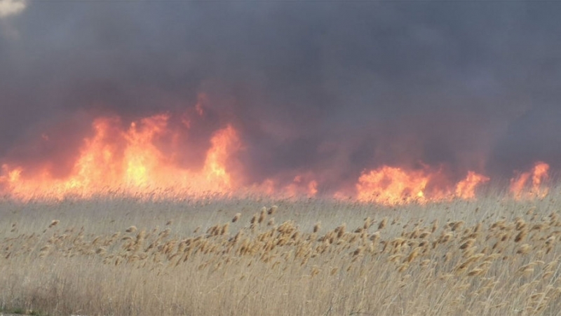 Пожар возле «Ростов Арены» удалось локализовать
