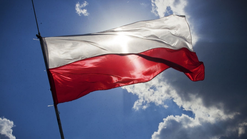 В Польше обнаружен первый случай заражения коронавирусом