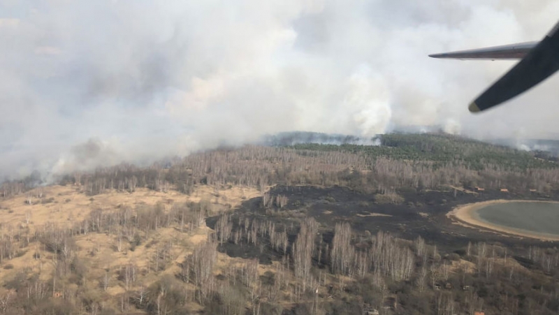 В зоне отчуждения в Чернобыле загорелся лес