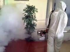 Эффективный способ избавления от тараканов и клопов