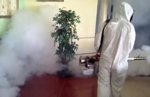 Эффективный способ избавления от тараканов и клопов