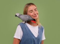 Ветеринар для птиц: когда стоит обратиться?