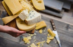 Особенности выбора ингредиентов и материалов для домашнего сыроделия