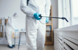 Профессиональное уничтожение клопов: особенности и важность дезинсекции